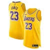 Versatile Comodo Attraente LeBron James Los Angeles Lakers Nike Authentic Player Jersey Icon Edition Gold