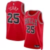 Meraviglioso Dalen Terry Chicago Bulls Nike Unisex 2022 NBA Draft First Round Pick Swingman Jersey Icon Edition Red