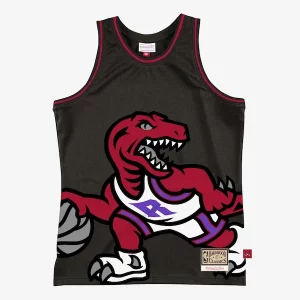 Elegante Pratico Toronto Raptors Hardwood Classics Blown Out Fashion Jersey Black