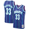 Trendy Delizioso Alonzo Mourning Charlotte Hornets 1994/95 Hardwood Classics Swingman Jersey Purple